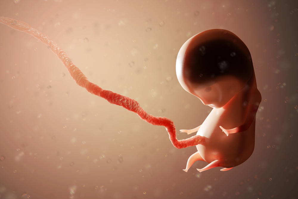 Possible Causes Of Miscarriage In The First 8 Weeks