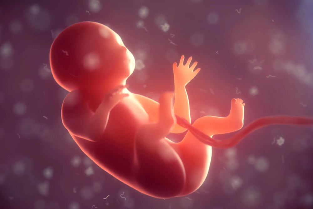 Recurrent Miscarriage: Understanding the Causes and Navigating Next Steps