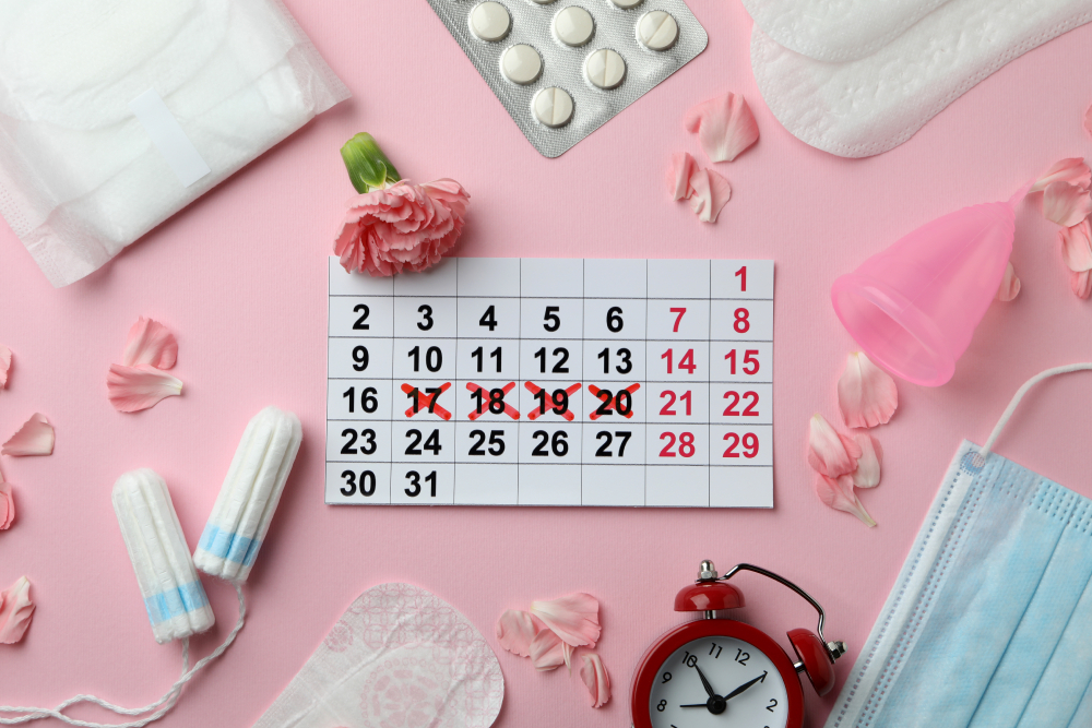 Everything You Need To Know About The Menstrual Cycle Phases